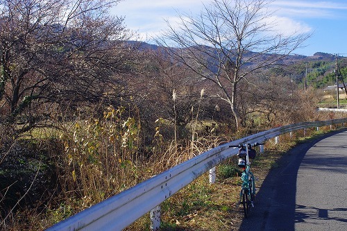 IMGP5653.jpg