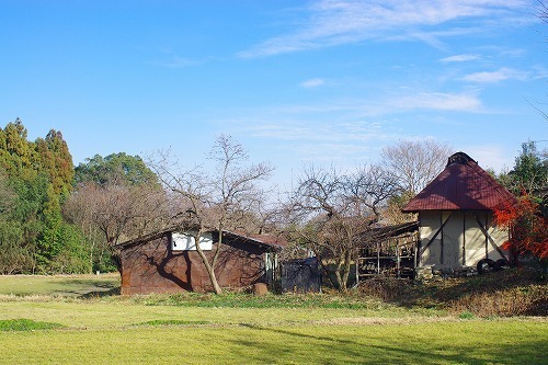 IMGP5669.jpg