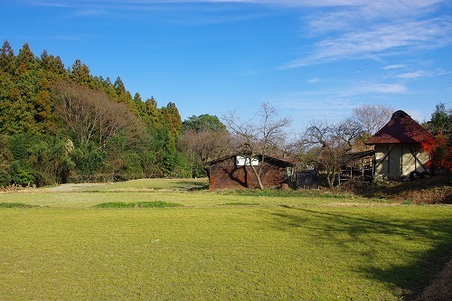 IMGP5670.jpg