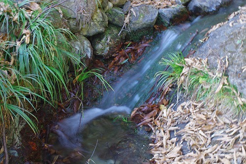 IMGP5687.jpg