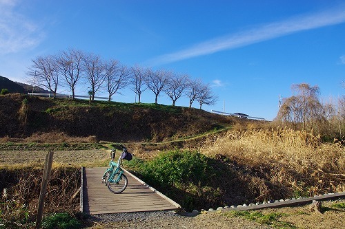 IMGP5716.jpg