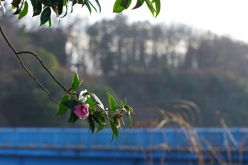 IMGP5761.jpg