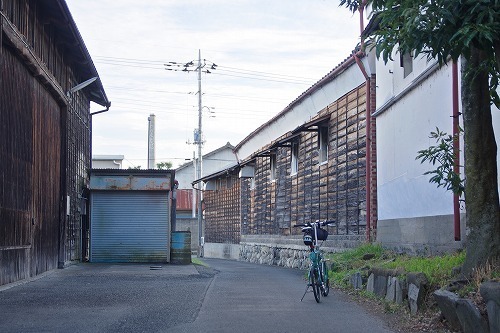 IMGP5781.jpg