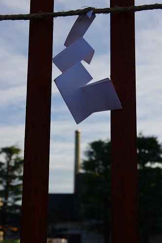 IMGP5791.jpg