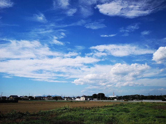 IMG_20180723_150304.jpg