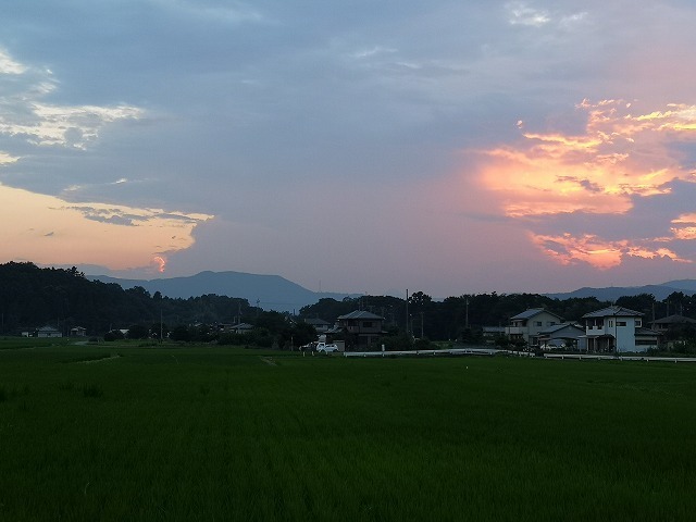 IMG_20180810_183854.jpg
