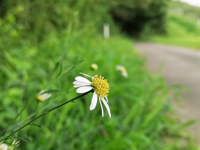 IMG_20180813_065407.jpg