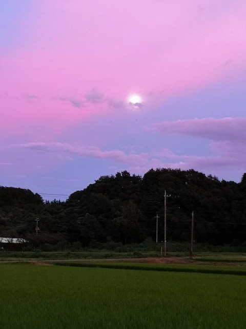 IMG_20180824_183503.jpg