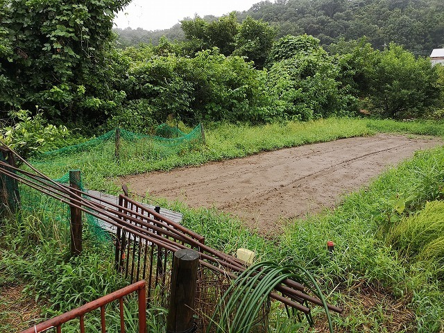 IMG_20180901_072702.jpg