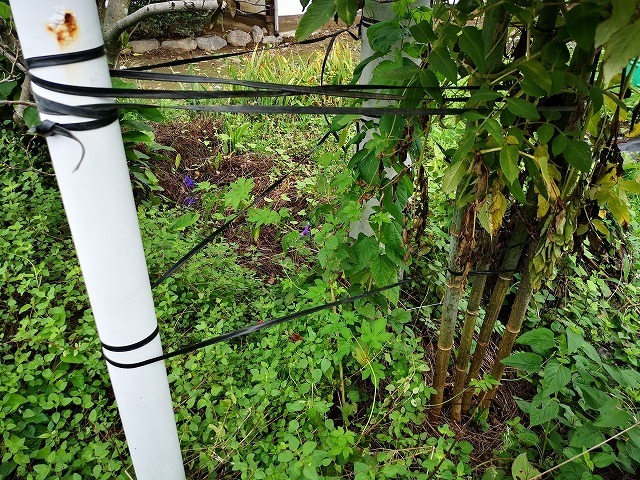 IMG_20180907_072758.jpg
