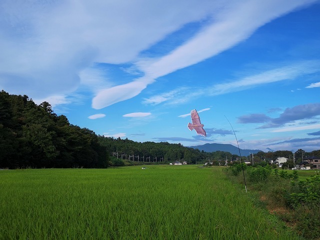 IMG_20180917_071721.jpg
