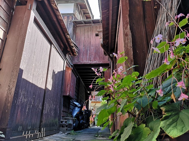 IMG_20181007_120958.jpg