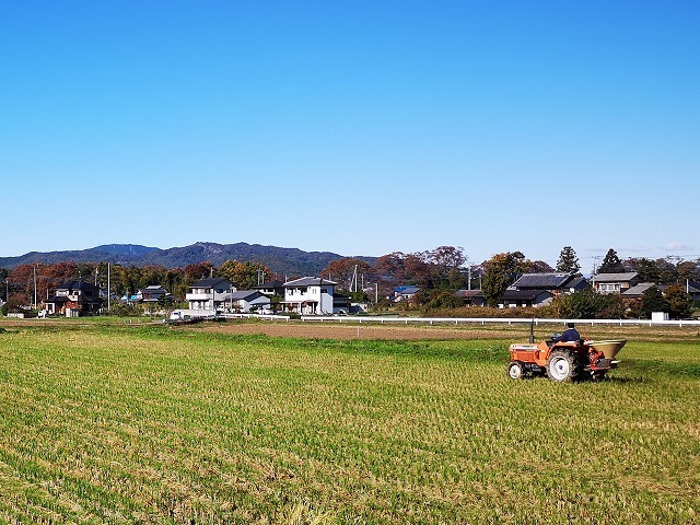 IMG_20181115_103129.jpg