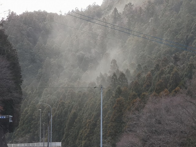 IMG_20190308_093858.jpg