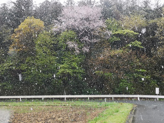 IMG_20190410_104600.jpg