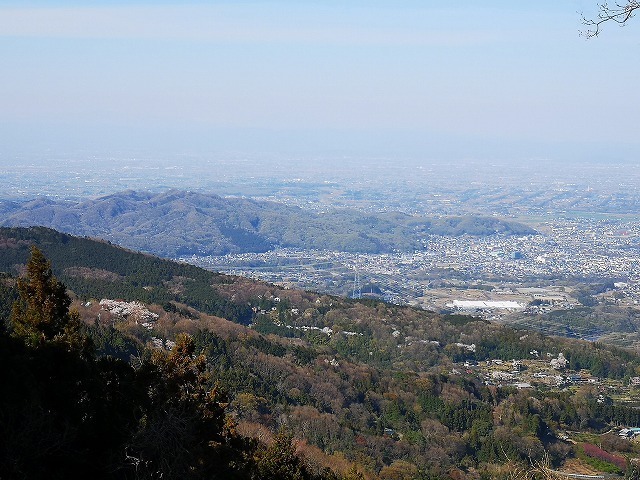 IMG_20190413_151923.jpg