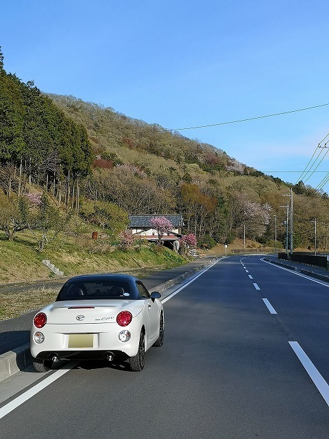 IMG_20190413_163606.jpg