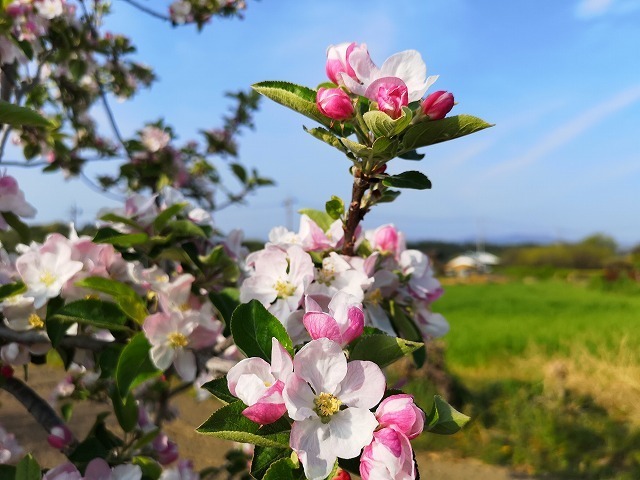 IMG_20190421_072320.jpg