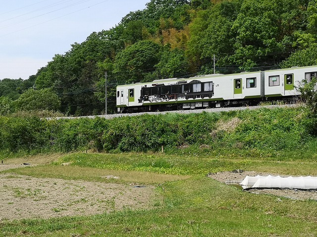 IMG_20190518_133125.jpg