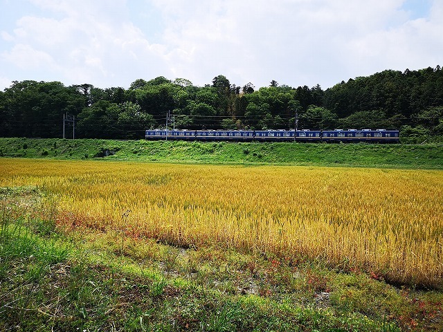IMG_20190519_095831.jpg