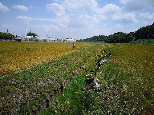 IMG_20190519_103540.jpg