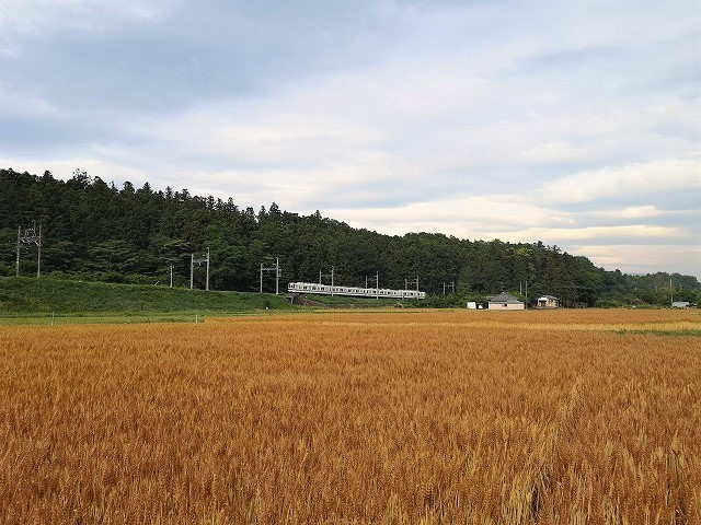IMG_20190528_064004.jpg