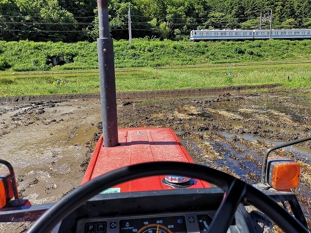 IMG_20190616_084245.jpg