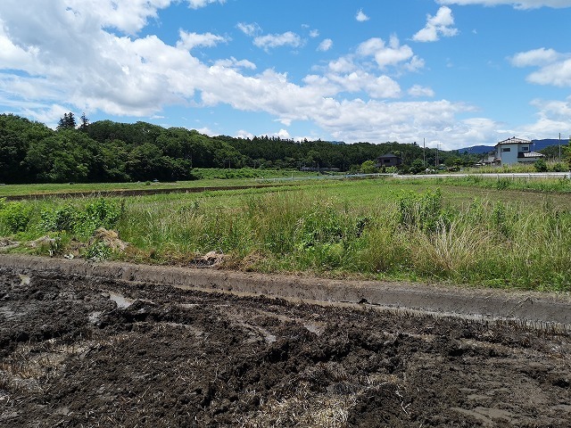 IMG_20190616_111346.jpg
