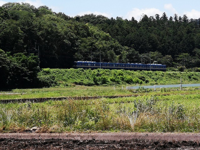IMG_20190616_113930.jpg