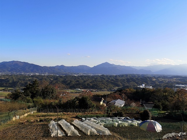 IMG_20191115_150202.jpg