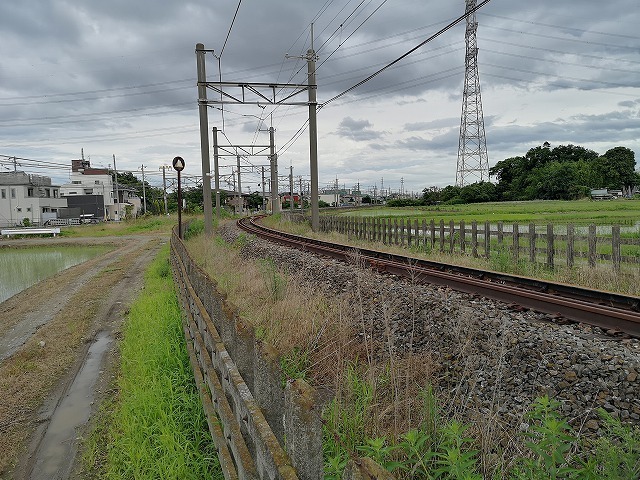 IMG_20200701_134828.jpg