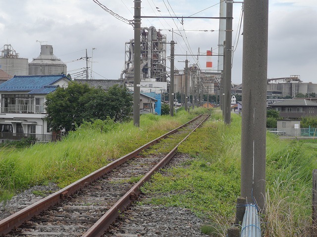 IMG_20200701_135651.jpg