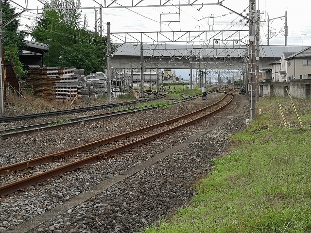 IMG_20200701_140934.jpg