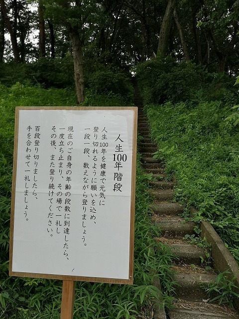 IMG_20200701_141501.jpg
