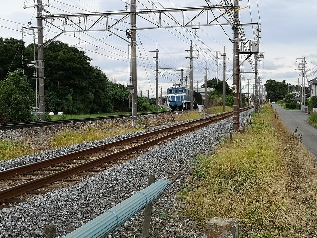 IMG_20200701_143611.jpg
