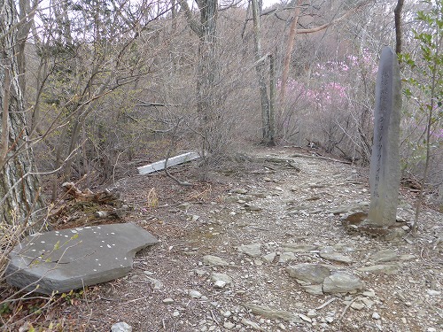 P1010238.jpg