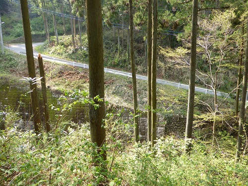 P1010517.jpg
