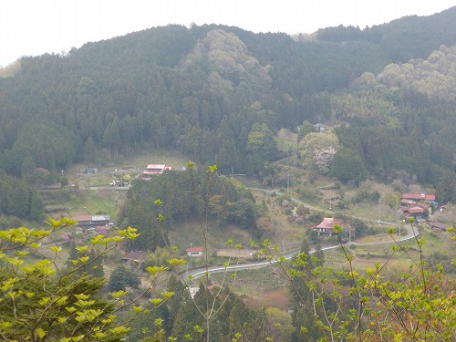 P1010541.jpg
