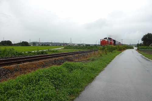 P1030175.jpg
