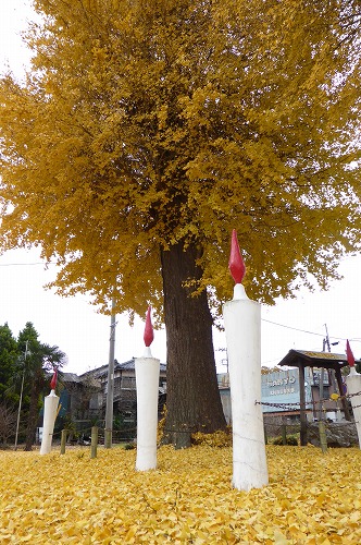 P1040742.jpg