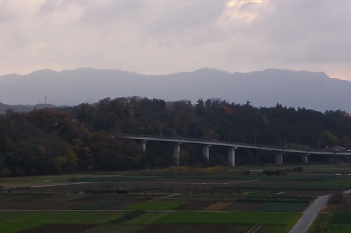 P1040774.jpg