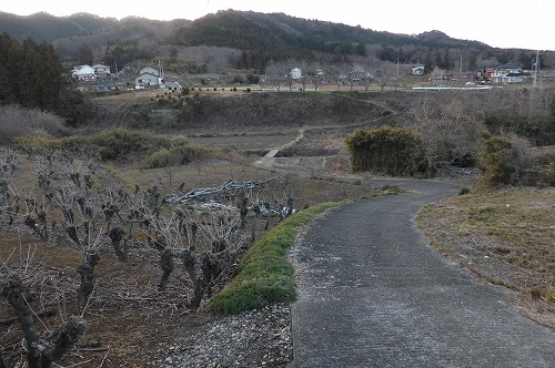 P1050349.jpg