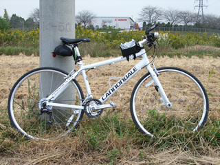 RIMG0015-2.jpg