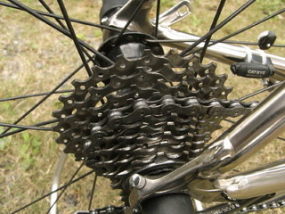 RIMG0015_2_1.JPG