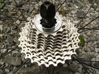 RIMG0034_1.JPG