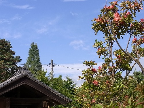 RIMG0037.jpg