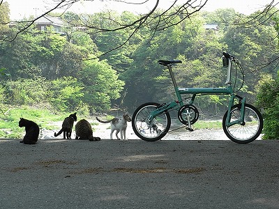 RIMG0040.jpg