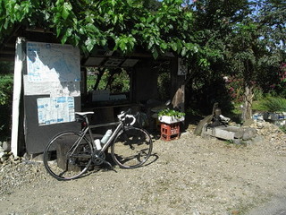 RIMG0044_1.JPG