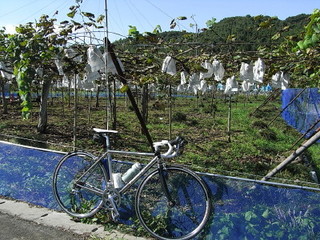 RIMG0055_1.JPG