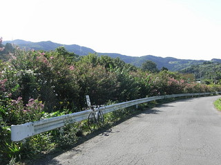 RIMG0056_1_1.JPG